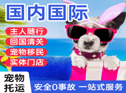 菏泽牡丹航空快运国际宠物托运 【国
